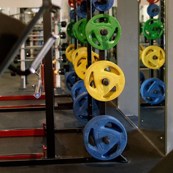 Outdoor training area with green plants and modern equipment.